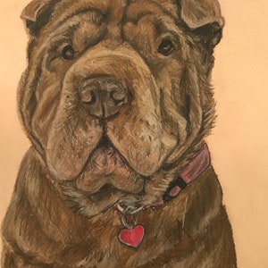 Custom Pet Portrait - Color