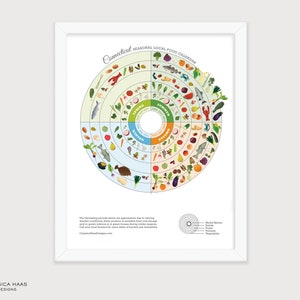 CONNECTICUT Seizoensgids lokale gerechten, seizoensgids, productentabel, vier seizoenen, keukenmuurdecoratie, voedingseducatie gezonde voeding Art Print
