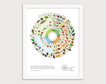 COLORADO Seasonal Food Guide Poster, Local In Season Fruit and Vegetable Art Print, Kitchen Wall Decor, Nutrition Education