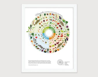 Minnesota Local Food Calendar, Seasonal Produce Guide, Kitchen Nutrition Poster