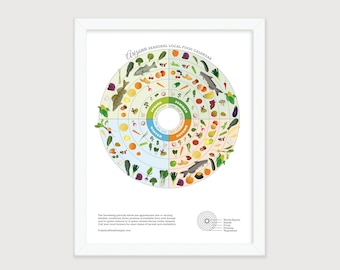 Arizona Seasonal Food Art Print, Local Produce Guide