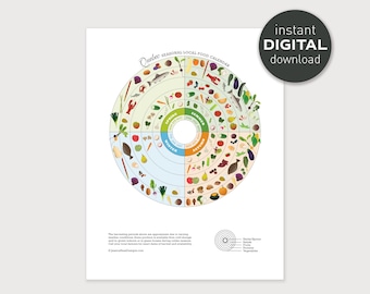 QUEBEC Seasonal Food Guide - PRINTABLE Digital Download, Local Produce Chart, Educational Nutrition Kitchen Art