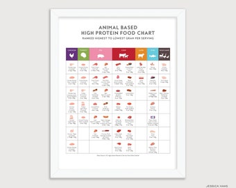 Animal Protein Food Chart Poster – Keto Diet, Nutrition Art Print