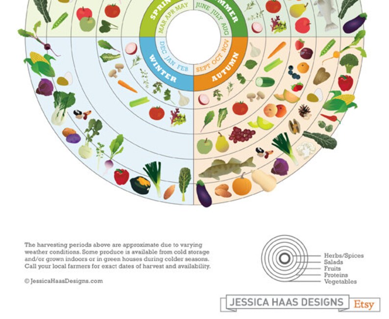 Colorado Seasonal Food Guide Etsy