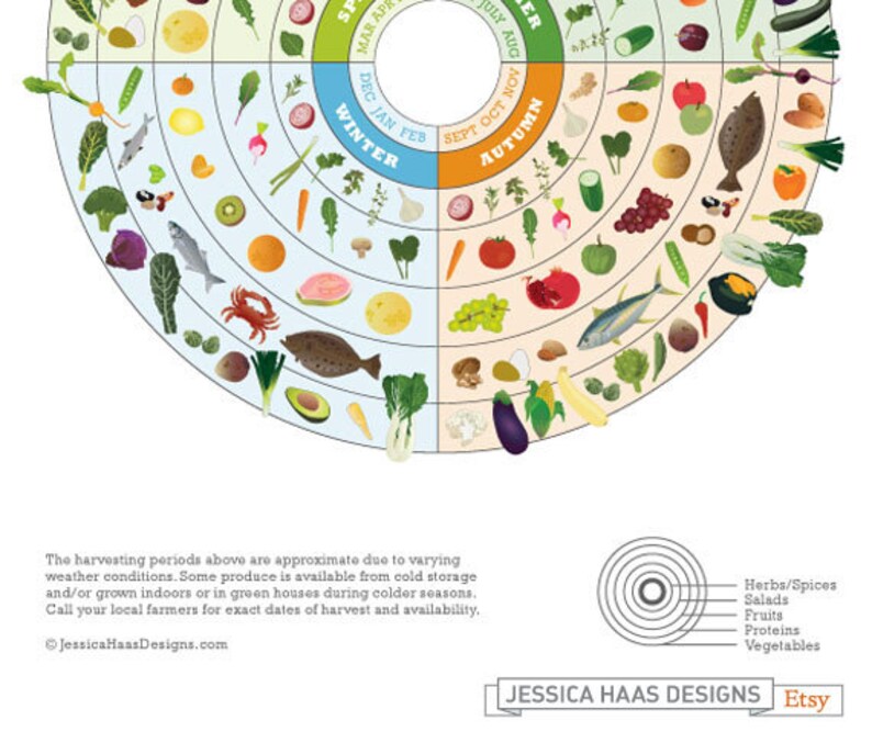 California Food Seasonal Guide Print Etsy