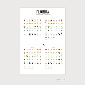FLORIDA Vier-Jahreszeiten-Poster, Obst und Gemüse, saisonale Lebensmittelkarte, Küche Kunstdruck, saisonal essen, Gesundheitsratgeber