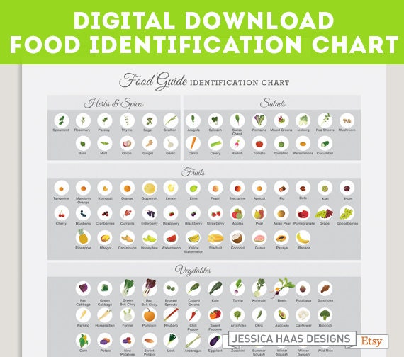 Food Guide Chart