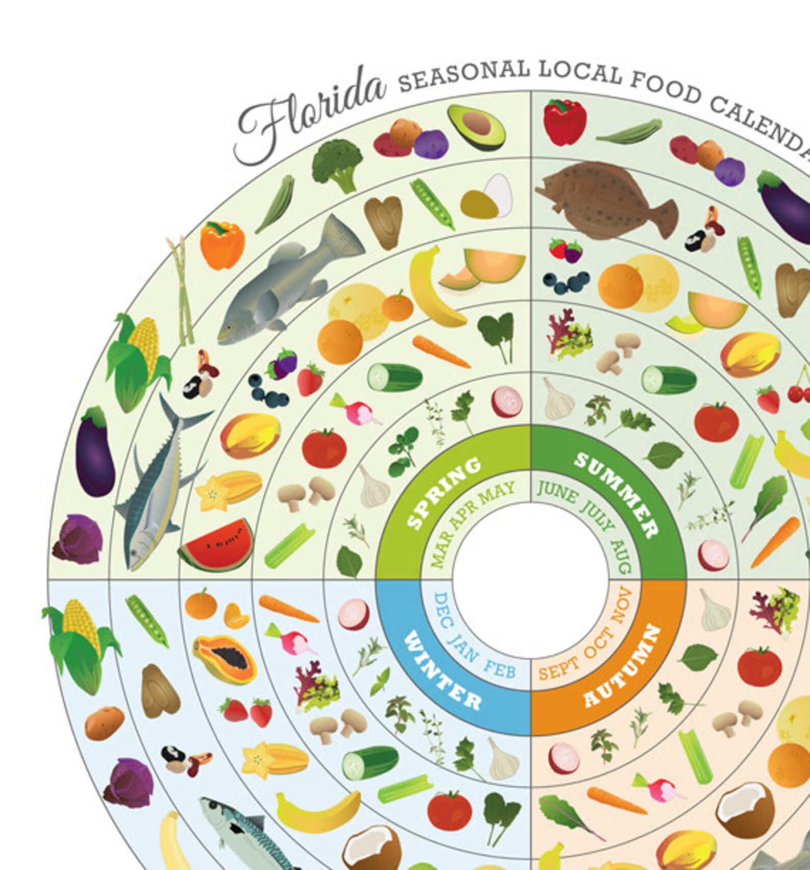Florida Local Food Seasonal Guide Print Etsy