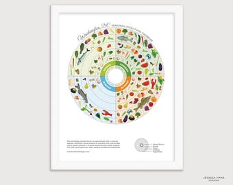 Washington DC Seasonal Food Art Print, Kitchen Decor