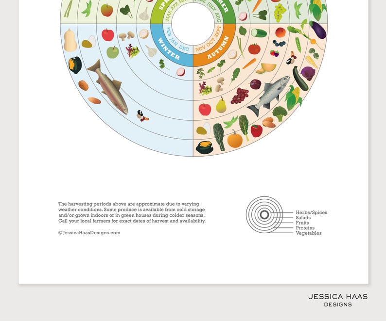 IDAHO Local Food Guide, Kitchen Wall Art, Local Produce Art Print, Seasonal Food Chart, Local Food Wheel image 3