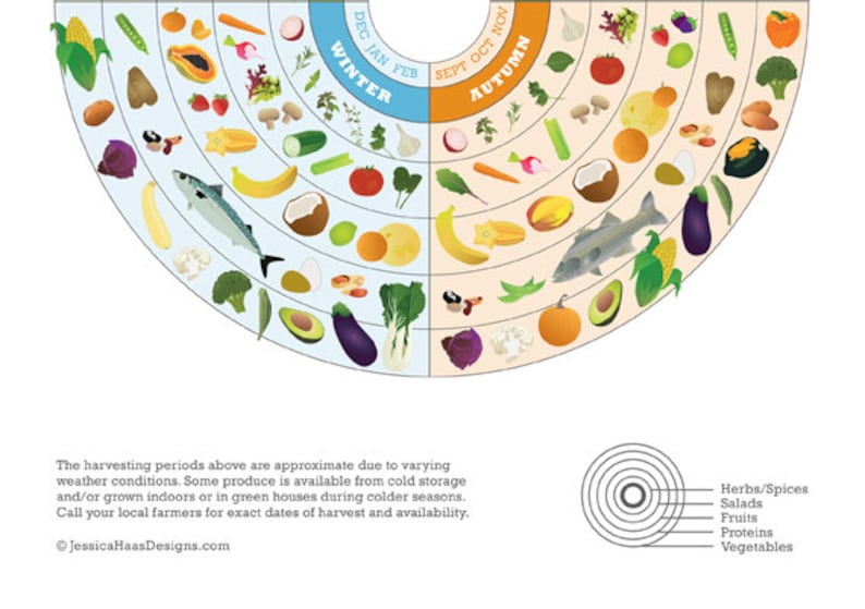 Florida Local Food Seasonal Guide Print Etsy