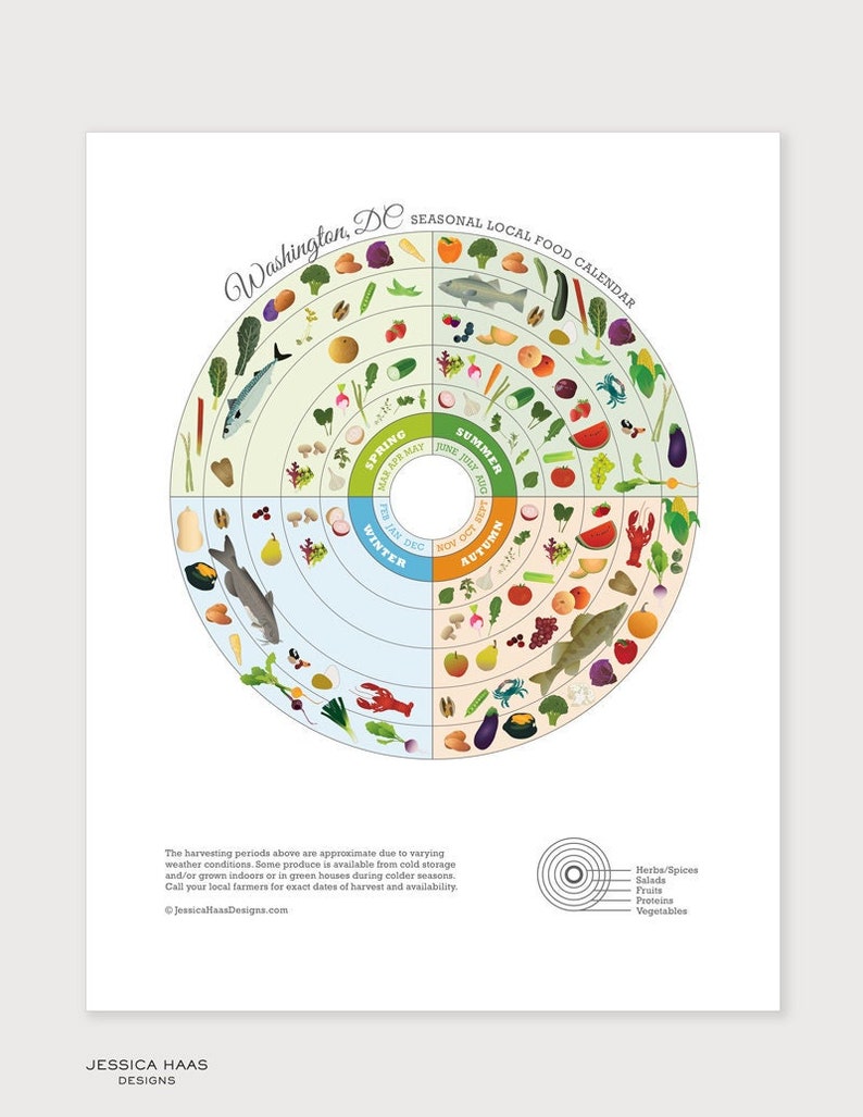 Washington D.C. Local Food Seasonal Guide Print, Kitchen Wall Decor, Local Produce Art Print, Nutrition Poster image 1