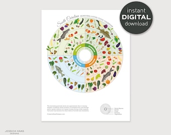 South Carolina Seasonal Food Guide – Printable Nutrition Art (Digital Download)