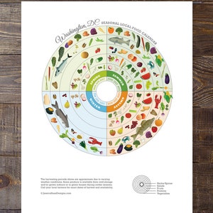 Washington D.C. Local Food Seasonal Guide Print, Kitchen Wall Decor, Local Produce Art Print, Nutrition Poster image 7