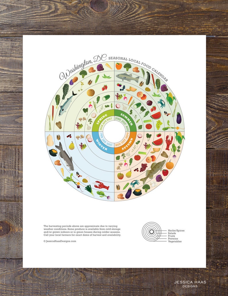 Washington D.C. Local Food Seasonal Guide Print, Kitchen Wall Decor, Local Produce Art Print, Nutrition Poster image 7