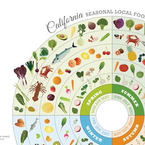 CALIFORNIA Seasonal Food Guide PRINTABLE Digital Download, Local Produce Chart, Educational Nutrition Kitchen Art image 2