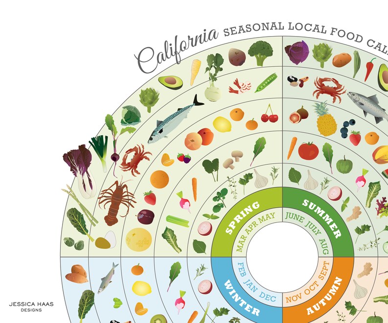 CALIFORNIA Seasonal Food Guide PRINTABLE Digital Download, Local Produce Chart, Educational Nutrition Kitchen Art image 2