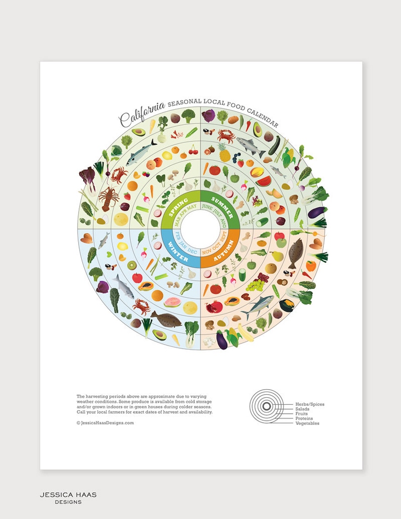 California Seasonal Food Guide, Kitchen Wall Decor, Local Produce Art Print, Healthy Food Chart, Food Art Print image 2