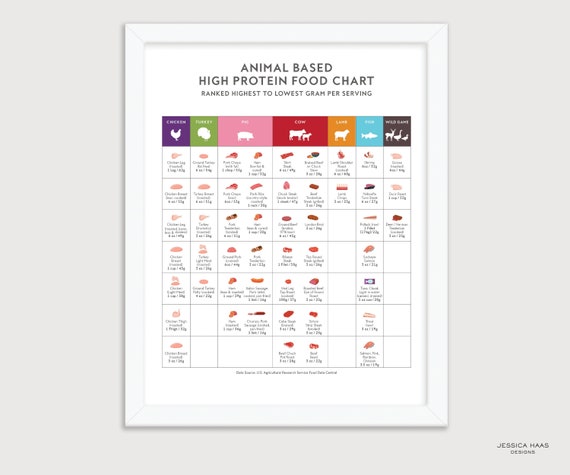 Animal Protein Food Chart Poster – Keto Diet, Nutrition Art Print