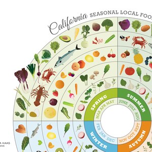 California Seasonal Food Guide, Kitchen Wall Decor, Local Produce Art Print, Healthy Food Chart, Food Art Print image 3