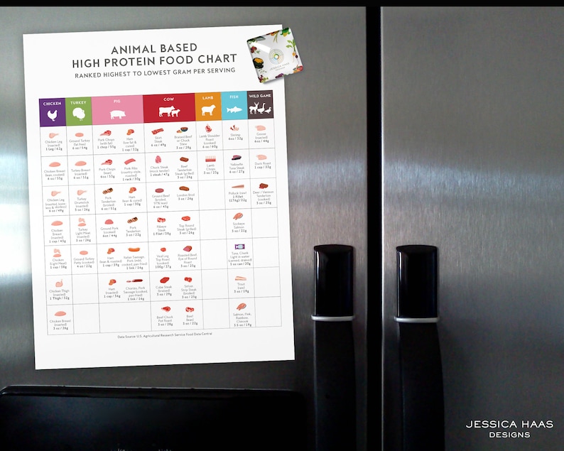 K&ouml;nnte beinhalten: Ein wei&szlig;er Chart auf einem K&uuml;hlschrank aus Edelstahl mit dem Titel "Animal Based High Protein Food Chart" und einer Liste verschiedener Fleischsorten und deren Proteingehalt pro Portion. Der Chart ist nach dem h&ouml;chsten bis niedrigsten Proteingehalt sortiert.