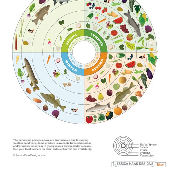 MONTANA Seasonal Food Calendar | Etsy