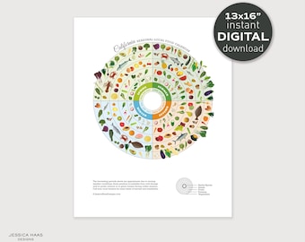 California Seasonal Food Guide Poster – Local Produce Chart (Digital Download)