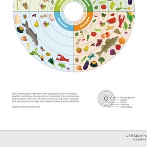 Washington D.C. Local Food Seasonal Guide Print, Kitchen Wall Decor, Local Produce Art Print, Nutrition Poster image 3