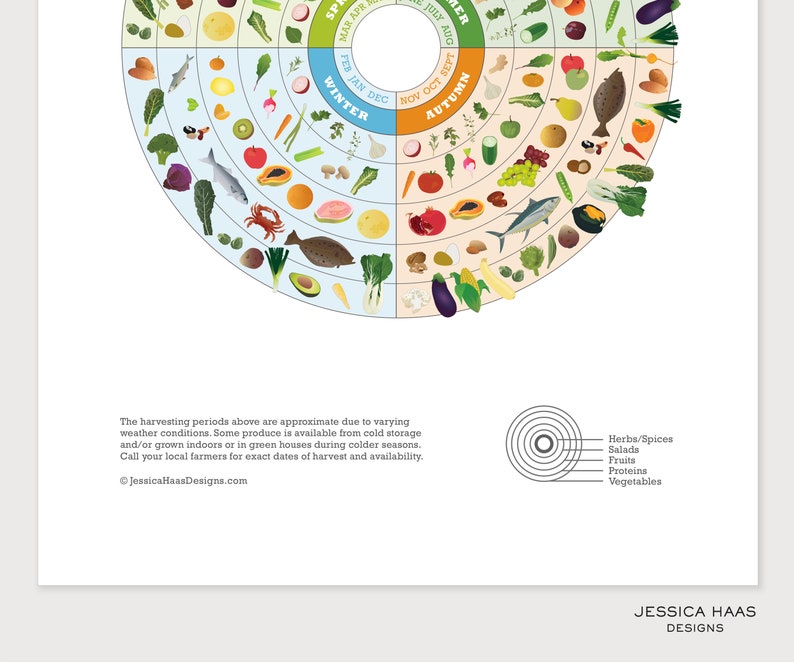 CALIFORNIA Seasonal Food Guide PRINTABLE Digital Download, Local Produce Chart, Educational Nutrition Kitchen Art image 3