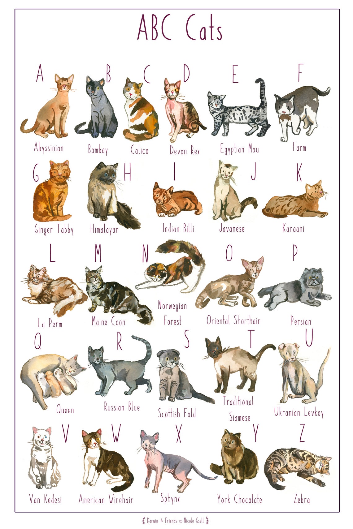 ABC Cats Poster | Etsy UK