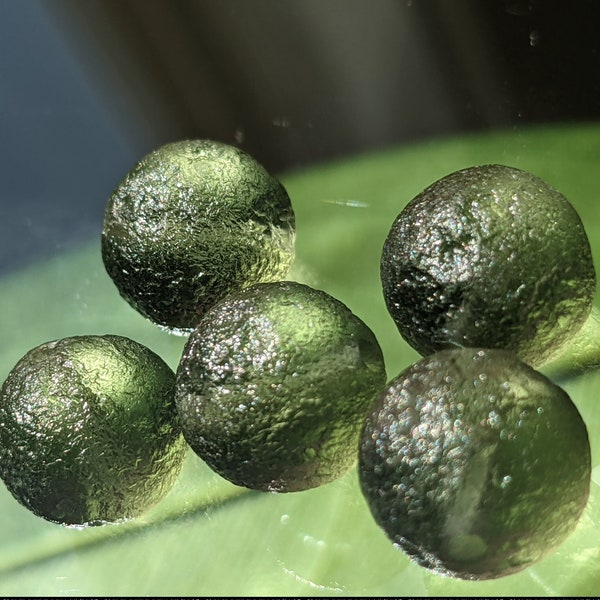 Set of Five (5x) - 6mm, 8mm or 10mm Authentic Moldavite Beads - Properly tumbled & sandblasted with a 2mm beading hole from the Czech Rep.