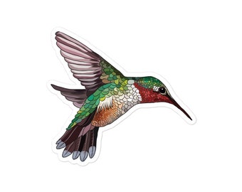 Hummingbird sticker