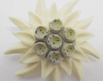 Edelweiss Flower Brooch Signed Switzerland Vintage Carved Celluloid
