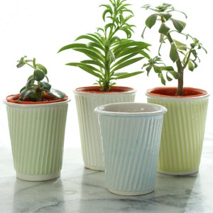 small cactus pot and succulent pot. Plant pot for small gardens and cacti. Cup planters can be used as mini succulent pots or coffee cups image 1