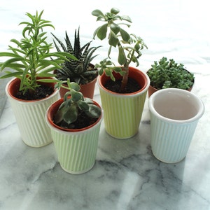 small cactus pot and succulent pot. Plant pot for small gardens and cacti. Cup planters can be used as mini succulent pots or coffee cups image 3