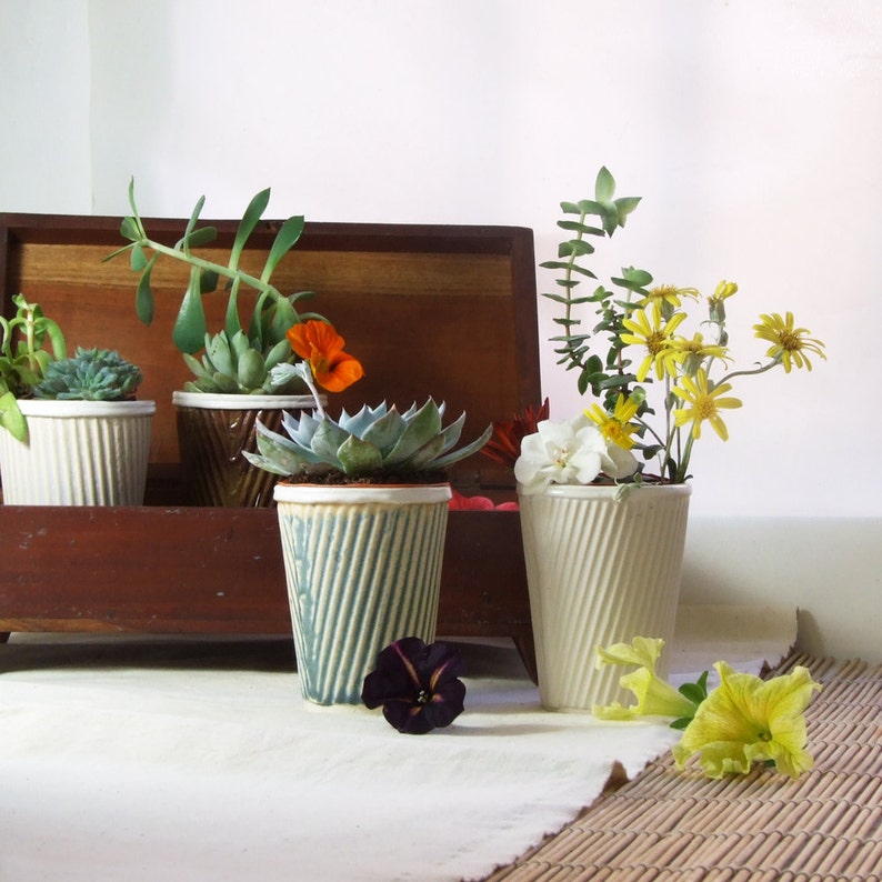 Ceramic planter for succulent pot plants. Also perfect as a cactus pot. Or a tea cup image 4