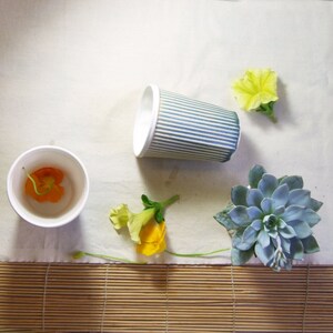 May include: Overhead view of two white paper cups, one containing an orange flower. A blue and white striped paper cup lies on its side. Yellow flowers and a blue-green succulent are also visible.