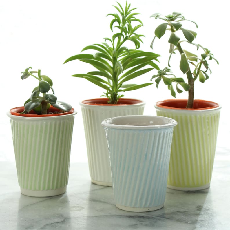 small cactus pot and succulent pot. Plant pot for small gardens and cacti. Cup planters can be used as mini succulent pots or coffee cups image 1