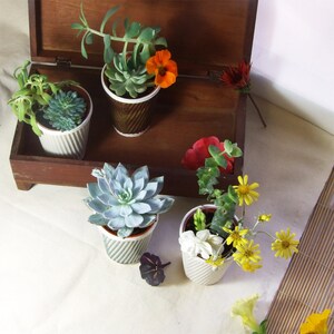 Ceramic planter for succulent pot plants. Also perfect as a cactus pot. Or a tea cup image 5