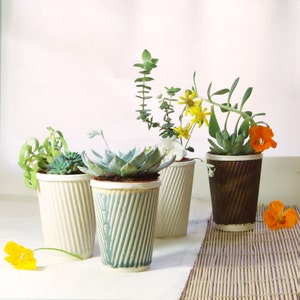 Ceramic planter for succulent pot plants. Also perfect as a cactus pot. Or a tea cup!