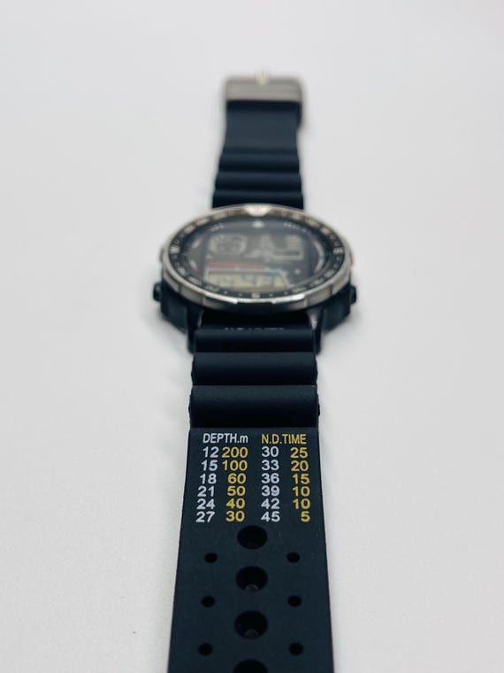 FREE Usa Shipping Rare Citizen D060 Promaster 80s Windsurfing LCD