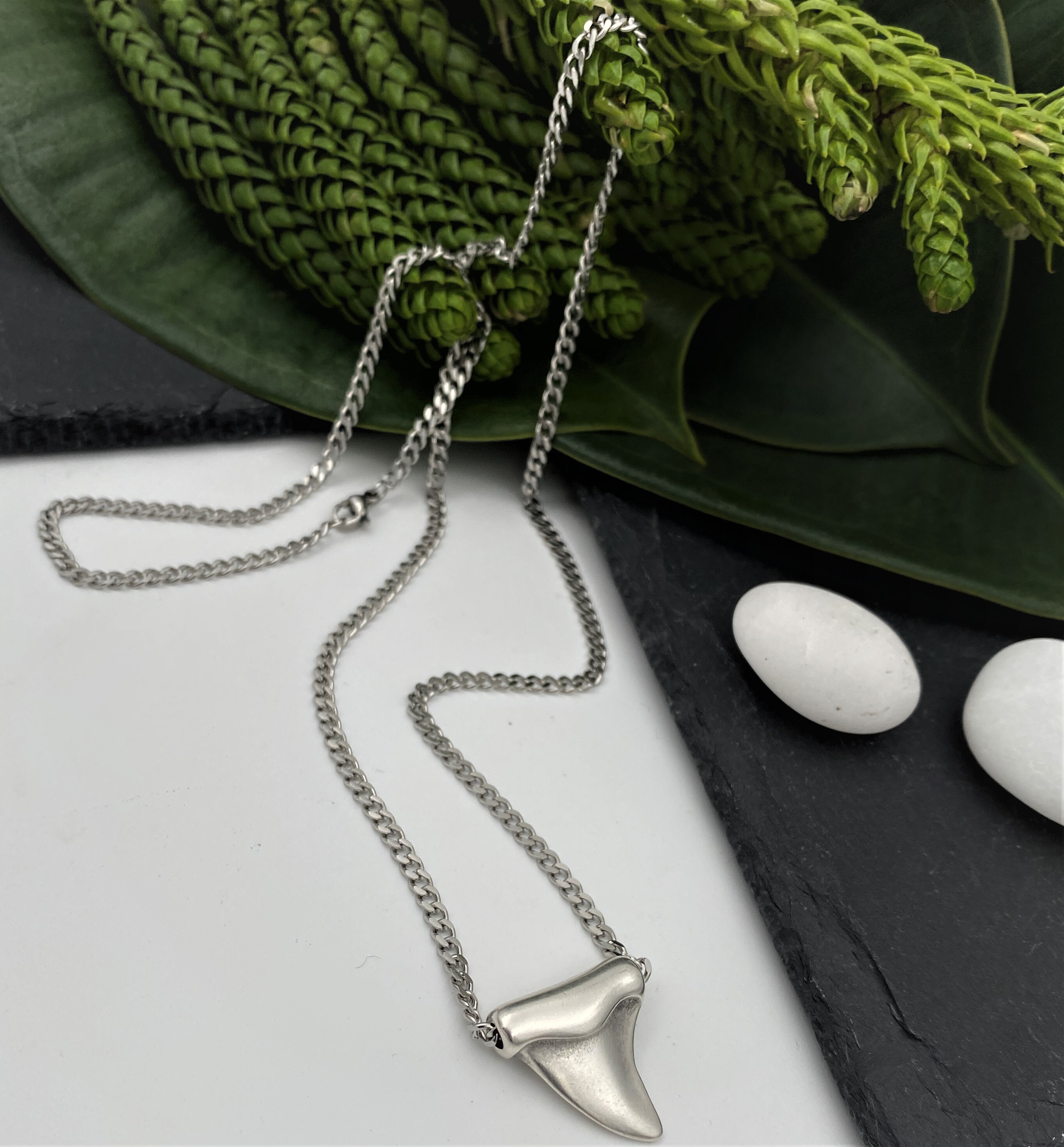 Collezione Di Denti Di Squalo Fossile - Marocco - Named - Foto 8