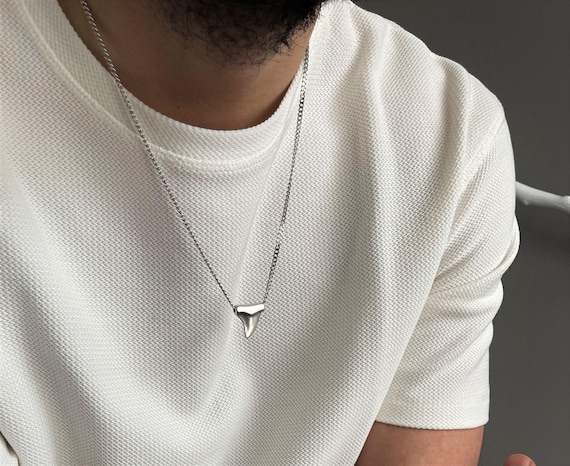 Collezione Di Denti Di Squalo Fossile - Marocco - Named - Foto 5