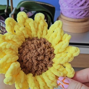 Sunflower Beehive Reversible Crochet Pattern, Spring garden, Bee Friendly, PDF download,