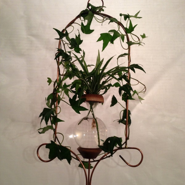 Plant Rooter Loop Style Mother's Day, Birthday or Any Day, *Free Gift with Every Order*
