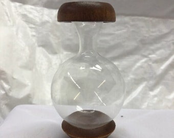 Replacement Bulbs Fit All Rooter Plant Rooters.  Birthday, Christmas or Everyday !  Free Gift with Every Order !  USA Made