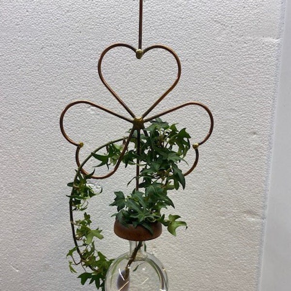 Plant Rooter Shamrock Style. Mother's Day, Birthday or Any Day !   Free Gift with Order