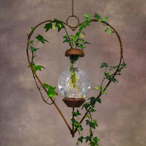 May include: A hanging heart-shaped metal frame in a bronze finish, featuring a clear glass spherical vase suspended in the center. Green ivy vines are wrapped around the frame and extend into the water-filled vase, which shows visible roots.