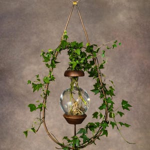 May include: A hanging planter featuring a teardrop-shaped copper-toned metal frame. A clear glass spherical vase is suspended within the frame, held by two dark bronze-colored circular mounts. Green ivy vines grow around the metal frame.
