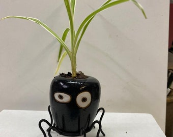 Spider Plant Planter (Fun Eyes!) Halloween, Christmas, Birthday, or Any Day. Free Gift with Order!